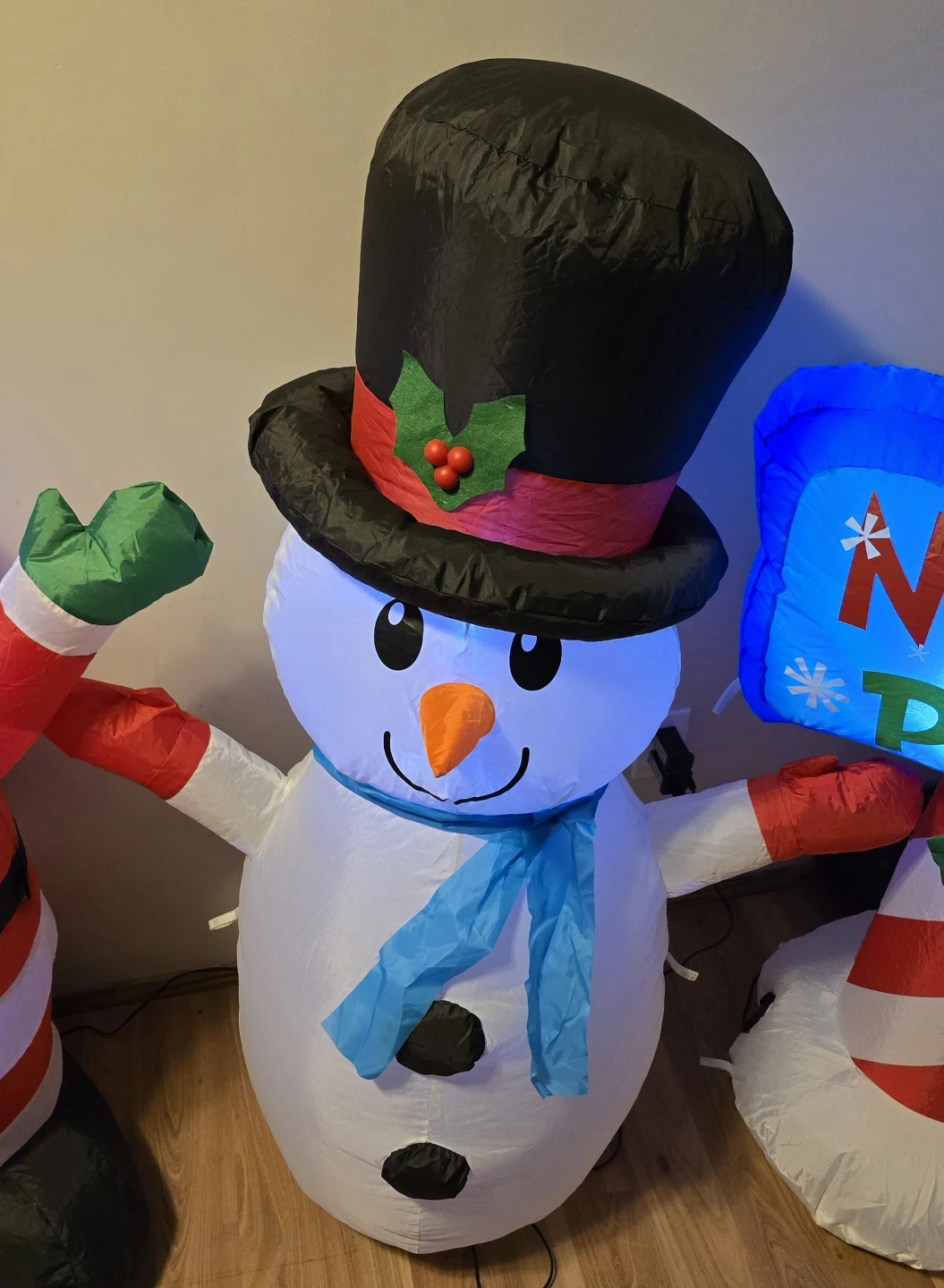 Christmas Yard Decorations - photo 4