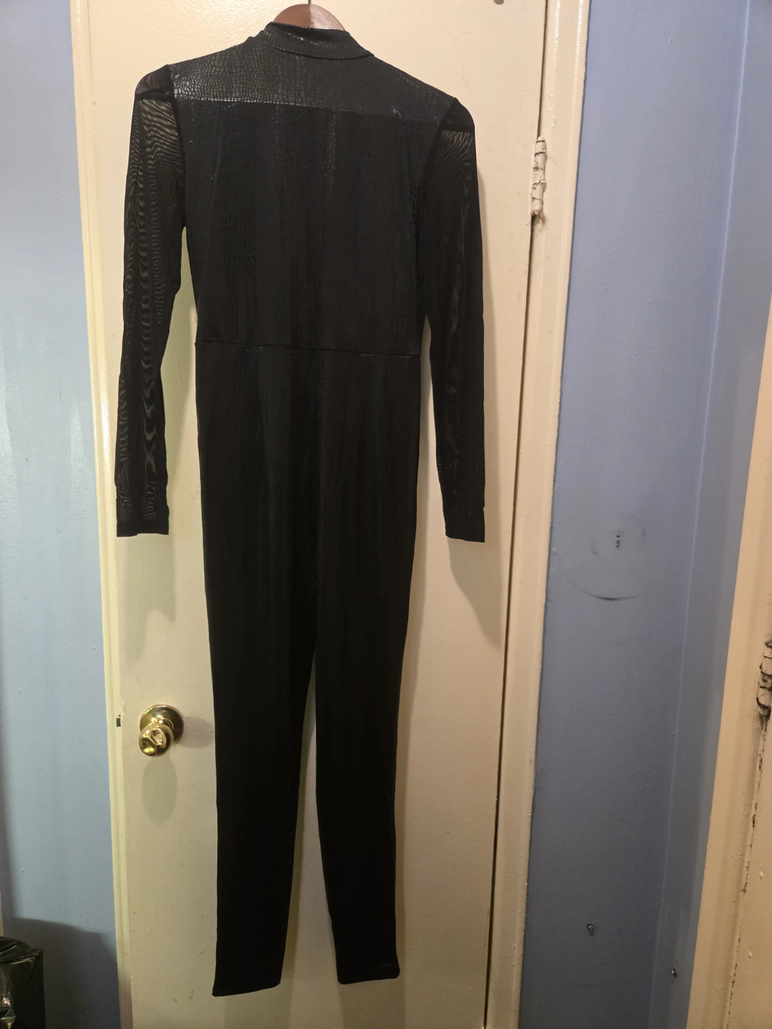 Jumpsuit / catsuit