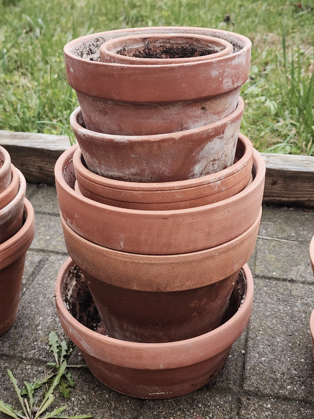 Assorted Terracotta Clay Pots Set - Plant Pots - photo 4