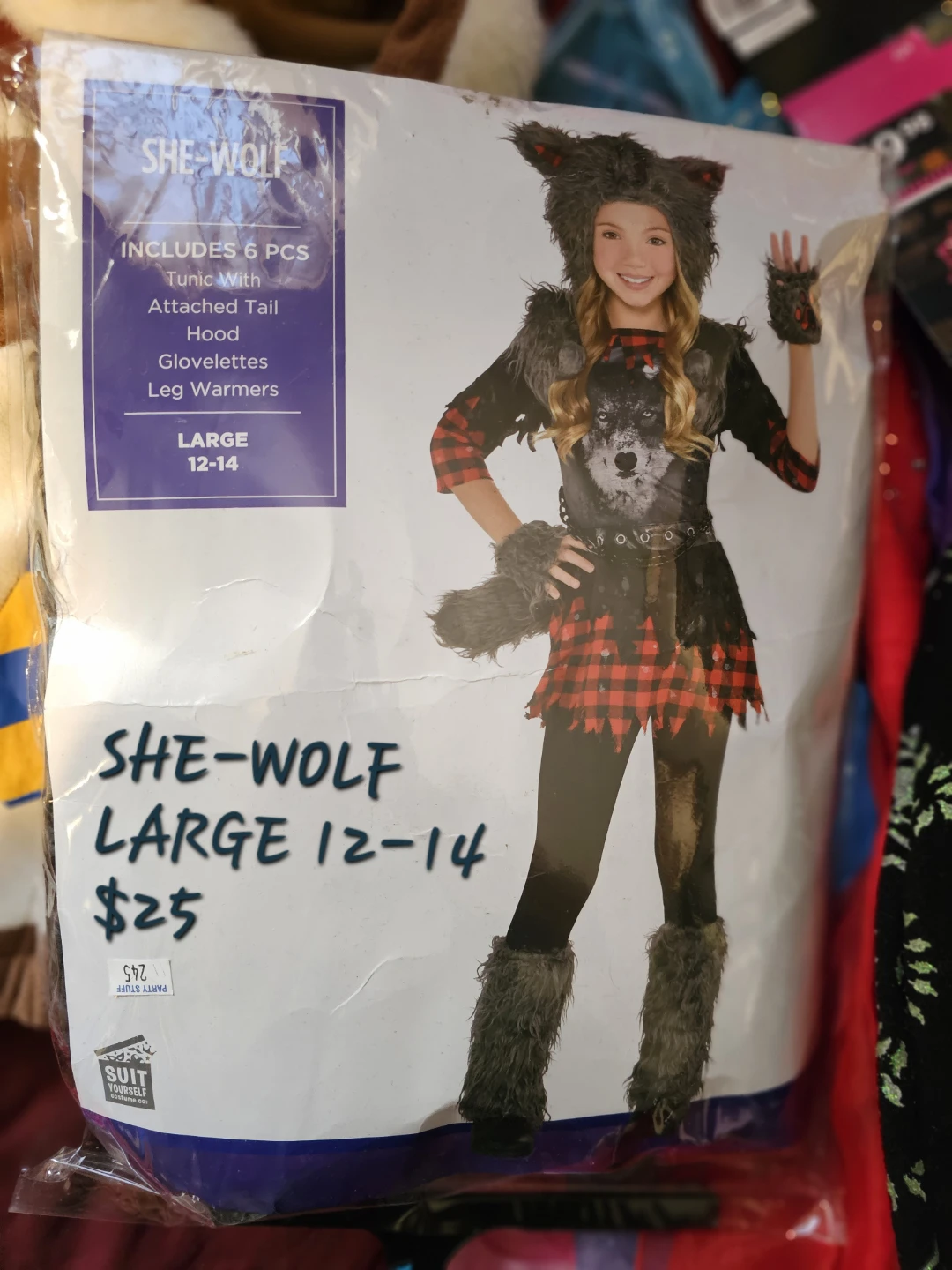 Assorted Children's Costumes and Dress-Up Outfits