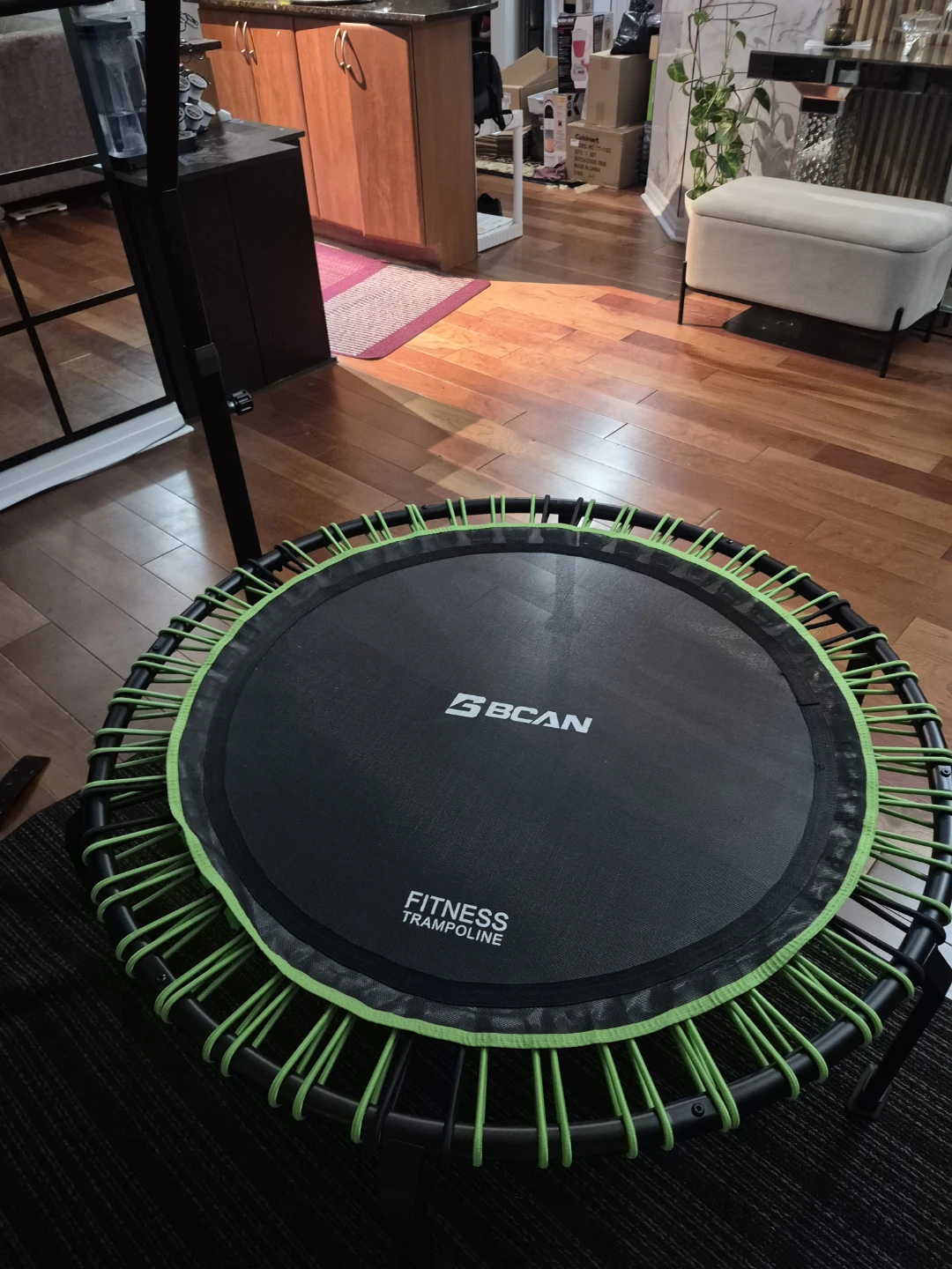 BCAN Fitness Trampoline