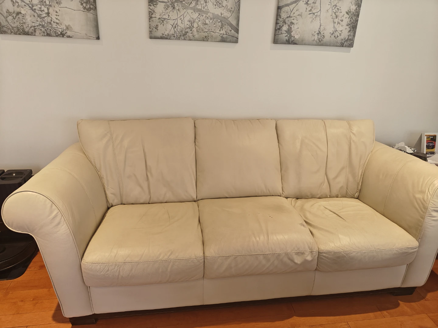 3 Seater & Single Natuzzi Italsofa Genuine Leather Beige Sofa