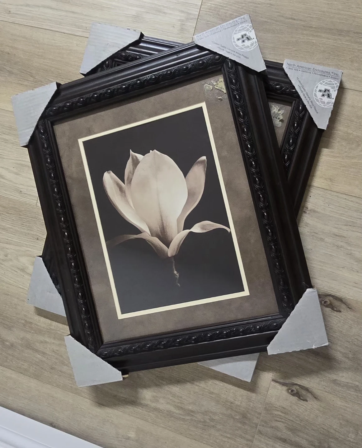2 Decorative Floral Wall Art Frames