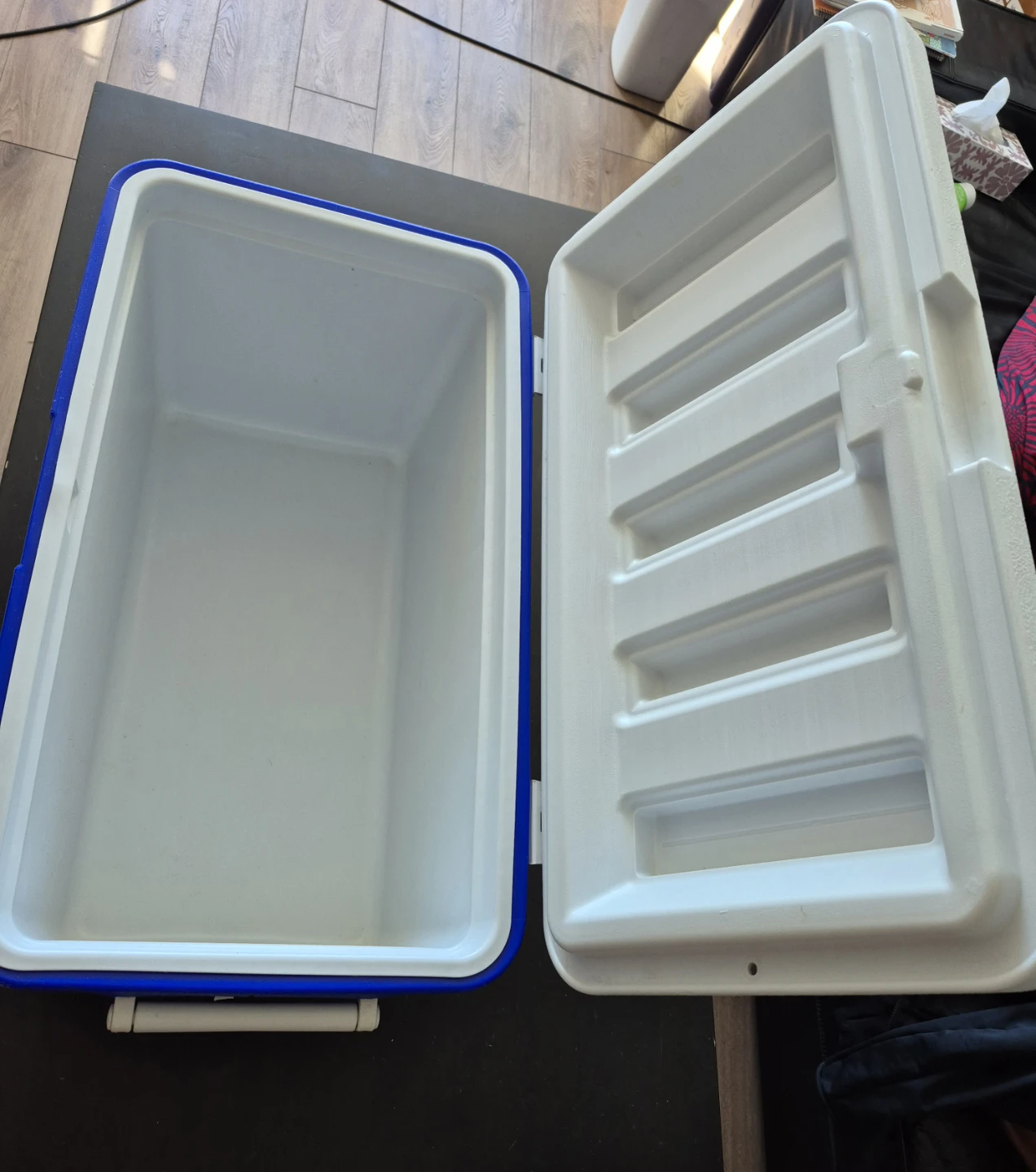 Coleman Hard Cooler Blue