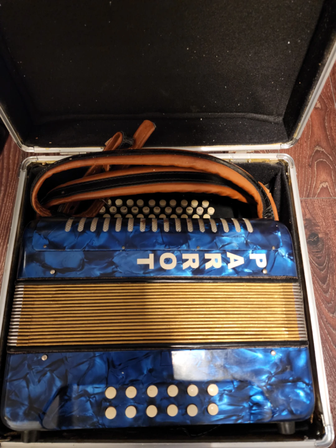 Parrot Accordion with Carrying Case