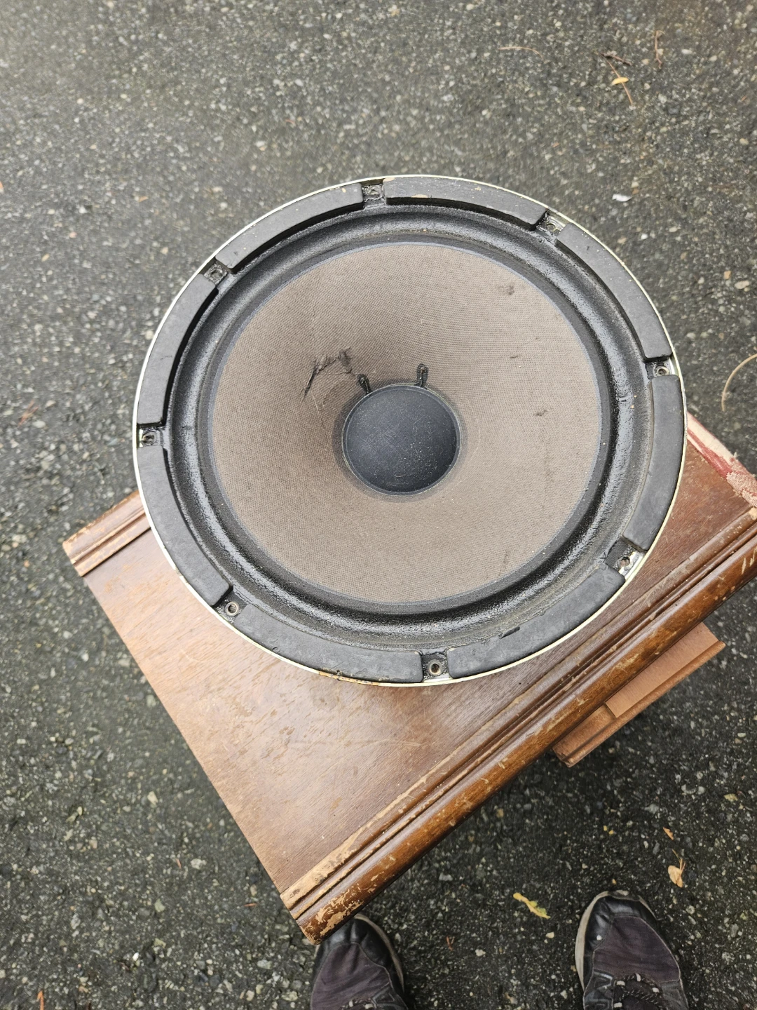 12-inch Vintage Replacement Speaker - photo 2