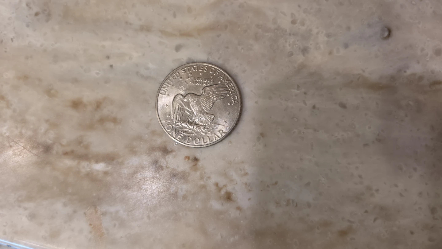 1971 United States Eisenhower Silver Dollar