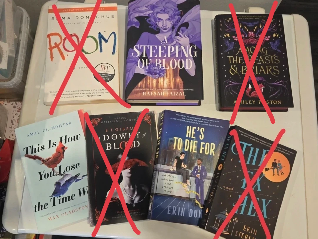 YA/Fantasy Book Sale - photo 4
