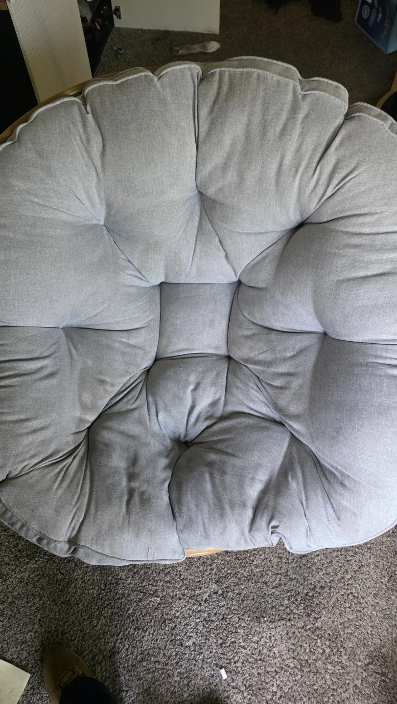 Gray Papasan Chair