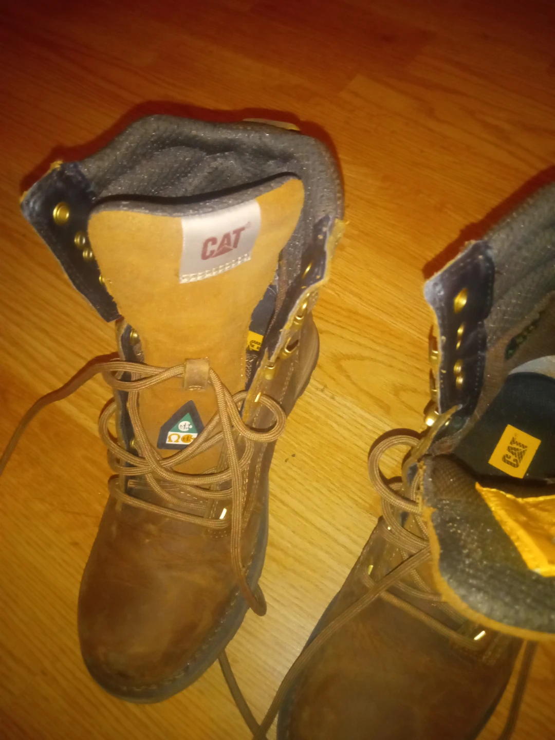 Cat work boots