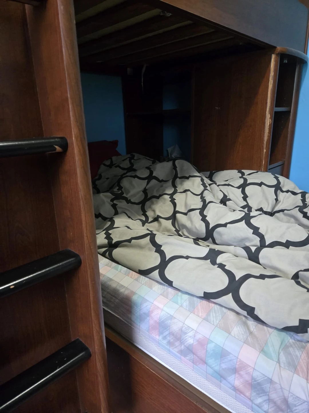 Free Bunk Bed with Integrated Desk and Shelving - photo 4