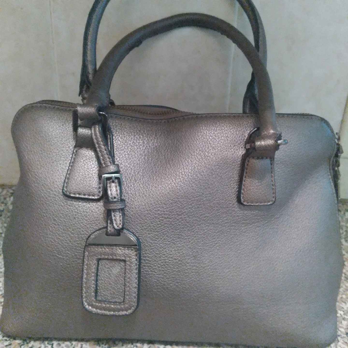 Lily & Ivy Metallic Handbag