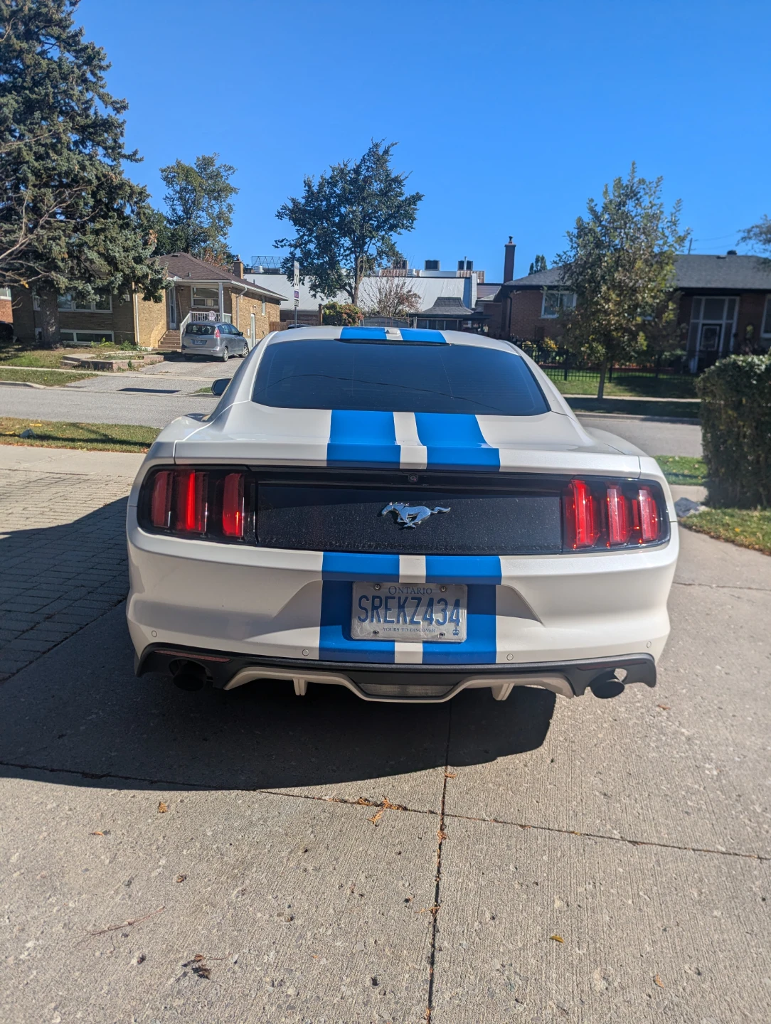 2017 Ford Mustang EcoBoost Premium Fastback - photo 4