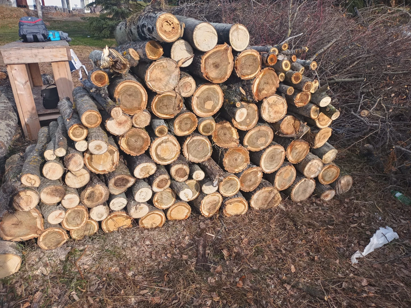 Assorted cut firewood logs
