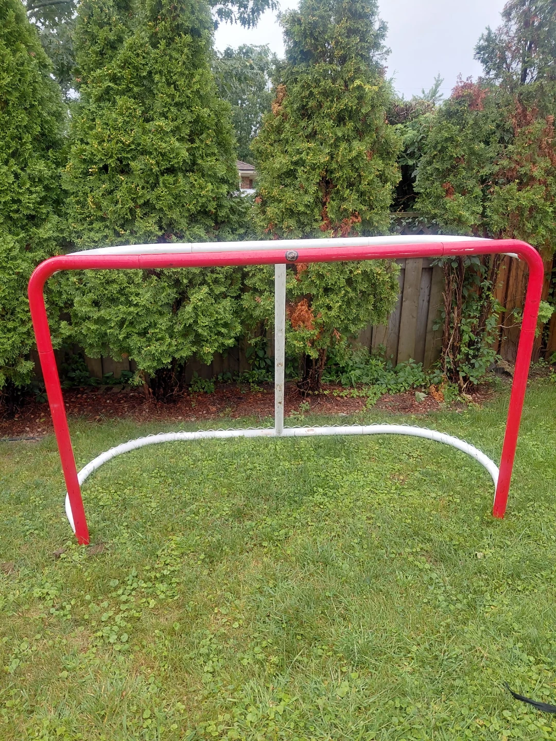 NHL street hockey goal - photo 2