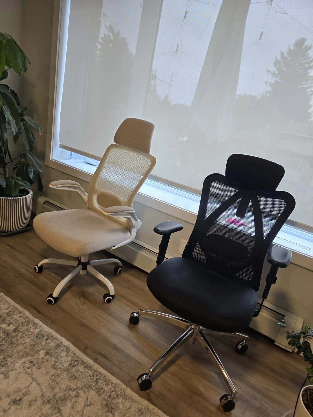 Two Ergonomic Office Chairs