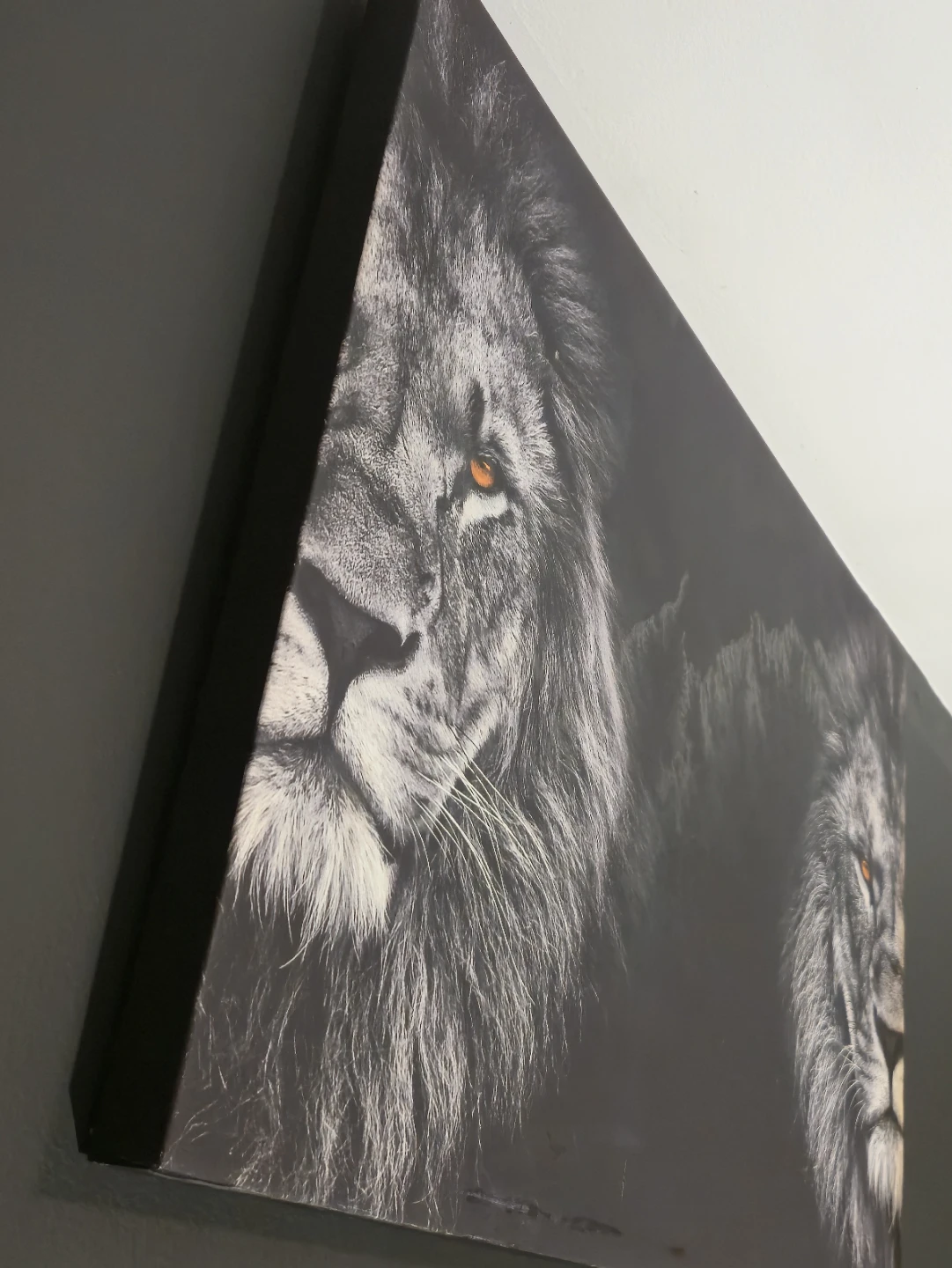 Black & White Double Lion Canvas Wall Art 36" x 24 - photo 2