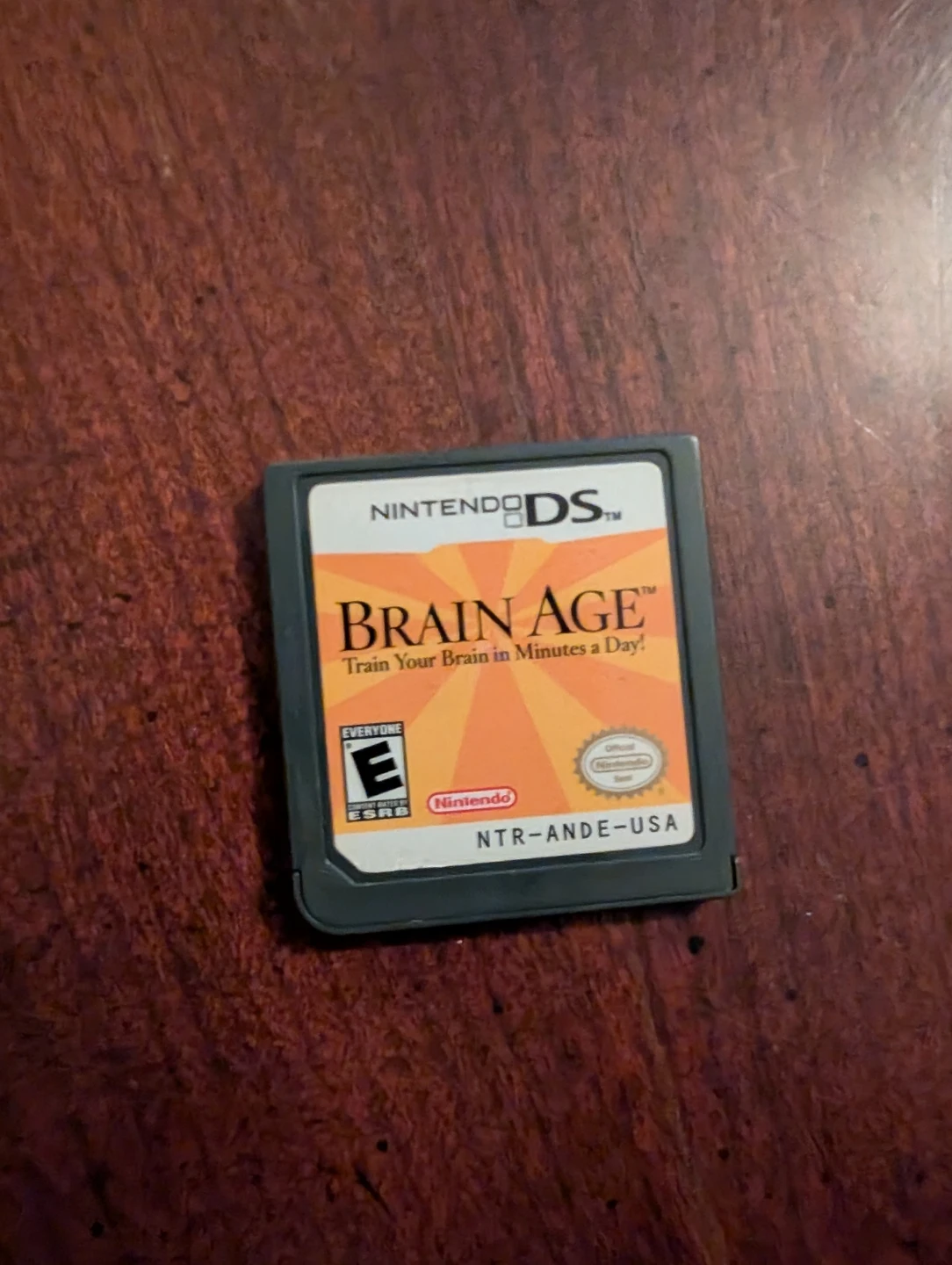 Brain Age the Nintendo DS Game