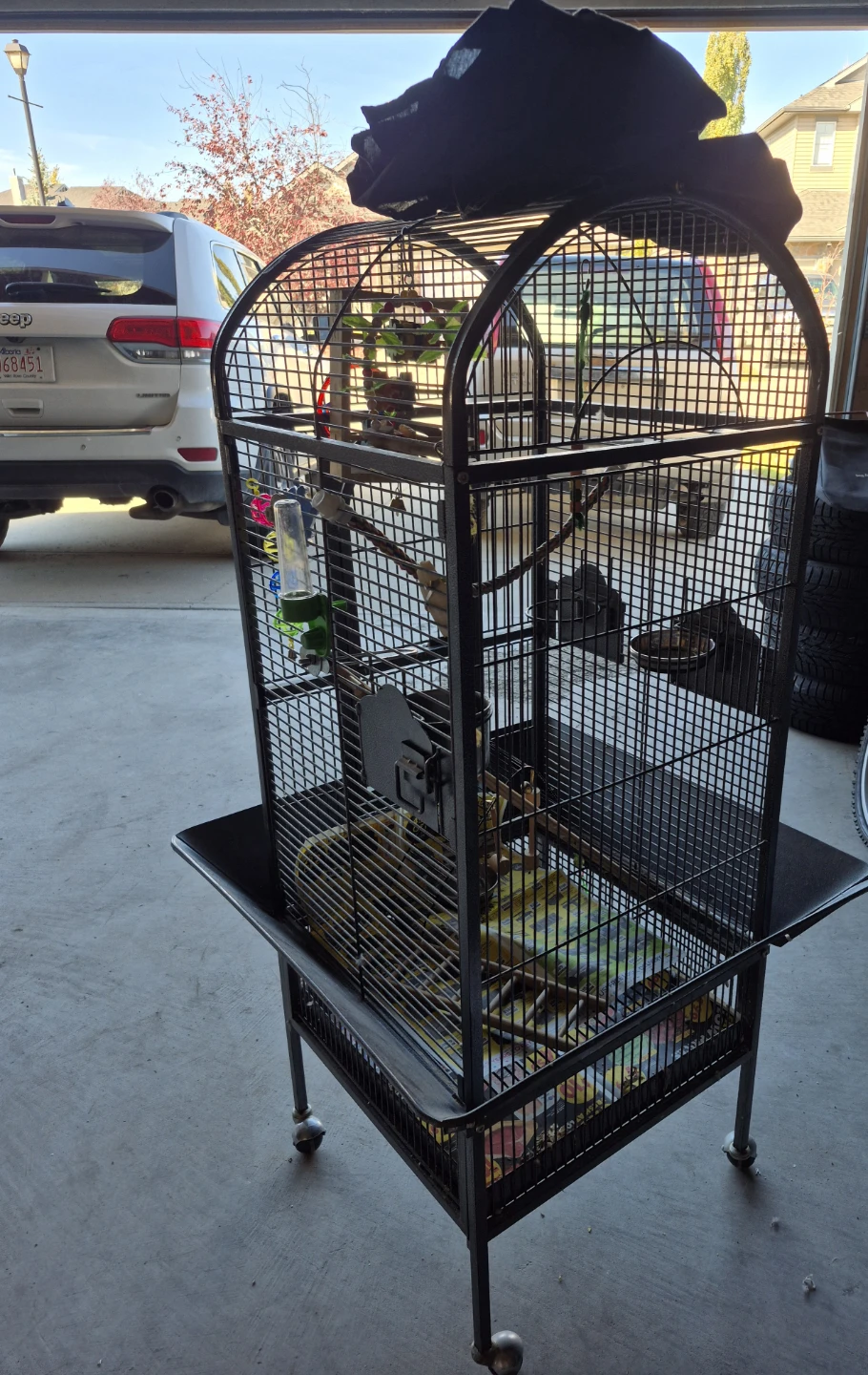 Large Beautyfull Birds Cage PLUS ALL ACCESSORIES *REAL DEAL*