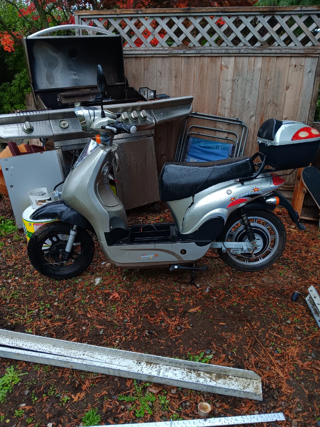 E-Bike Scooter Silver