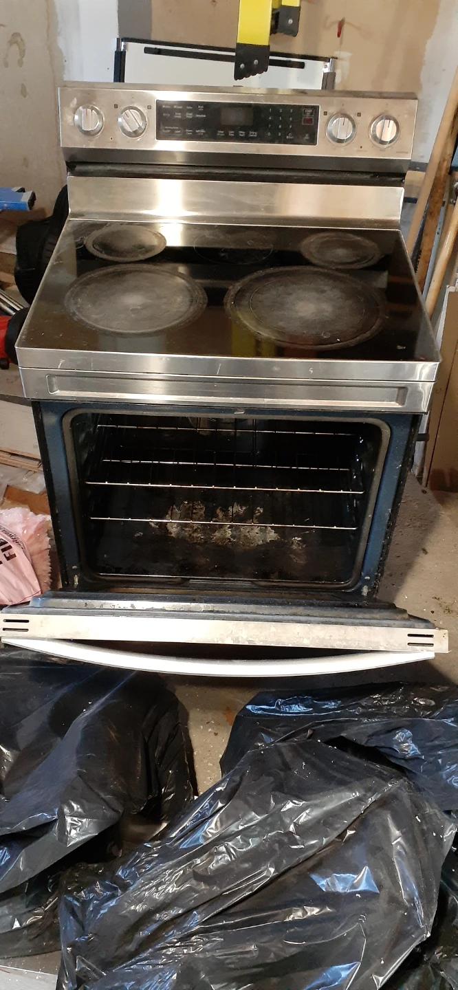 Samsung Stainless Steel Electric Range - photo 5