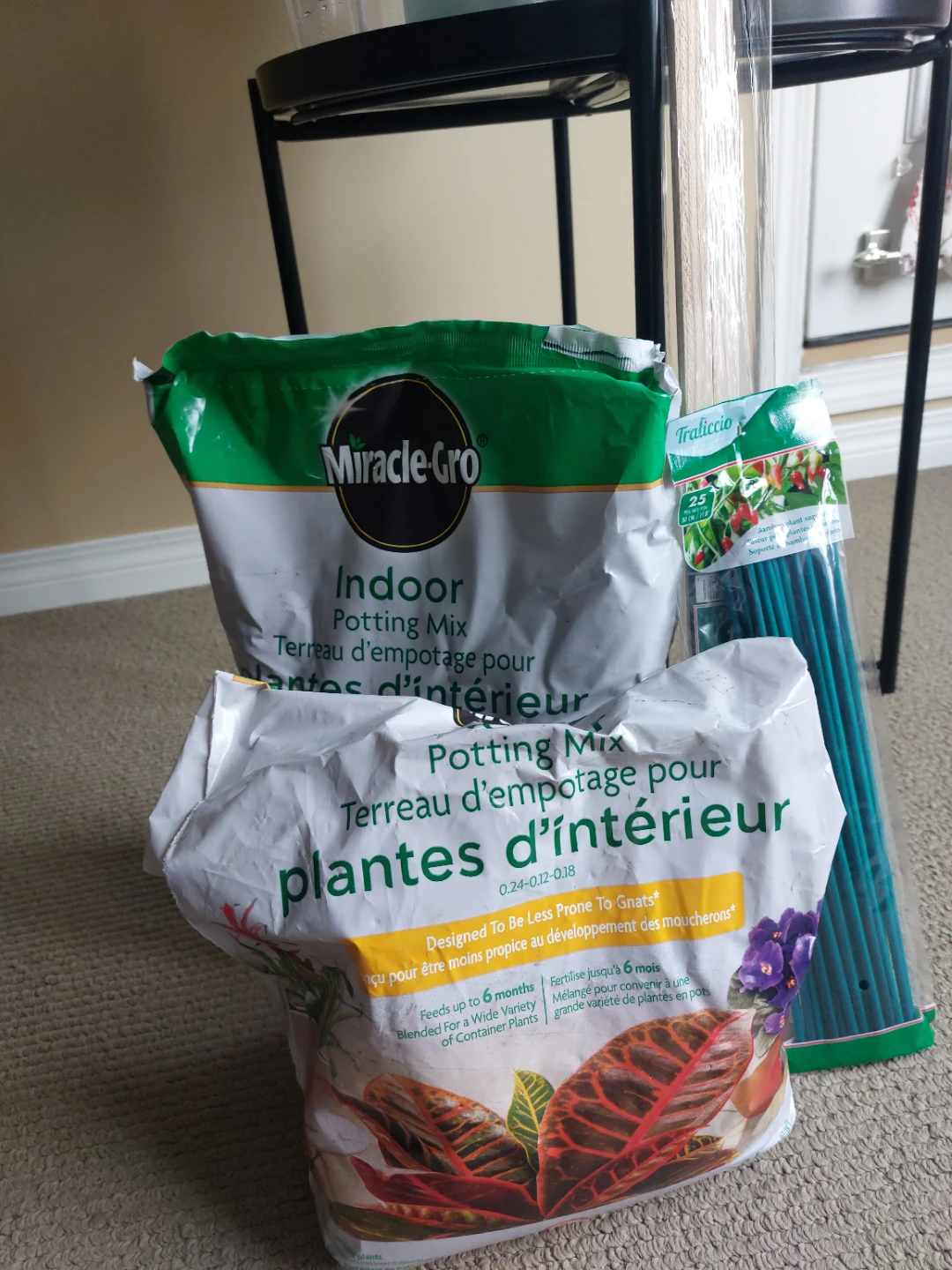 Monstera plant with accessories bundle - photo 3