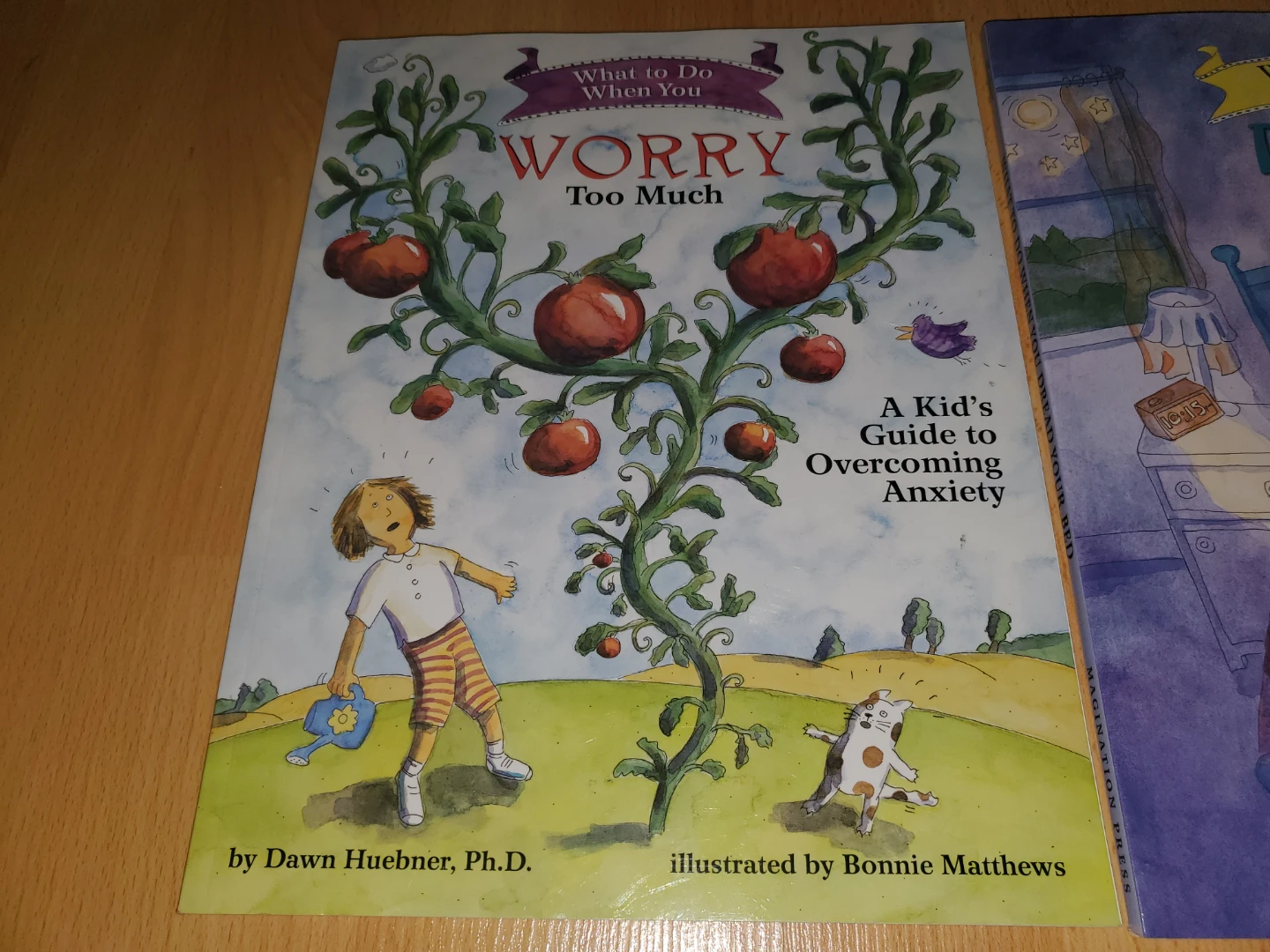 What to Do When You Worry Too Much - Dawn Huebner