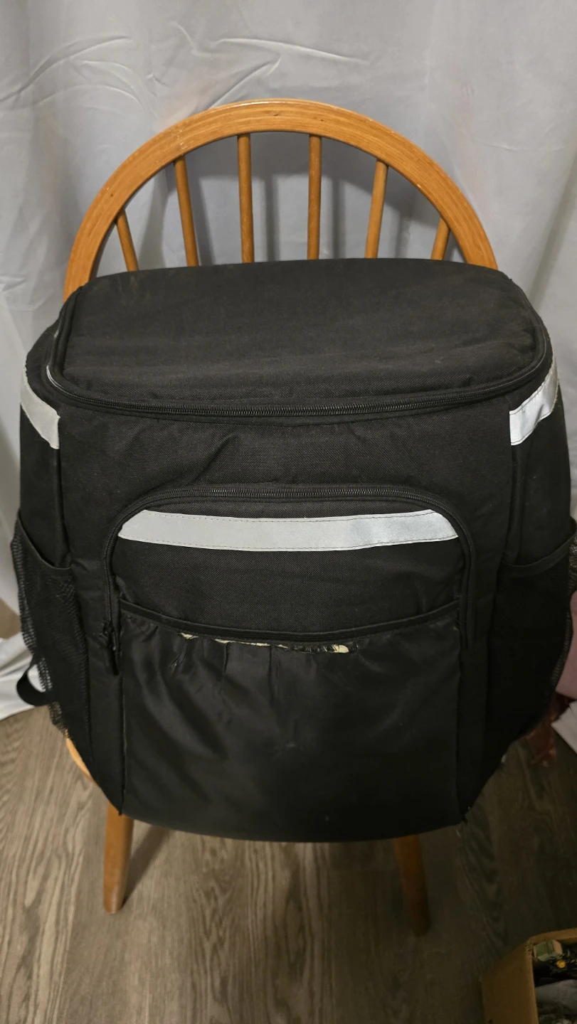 Insulated bag backpack