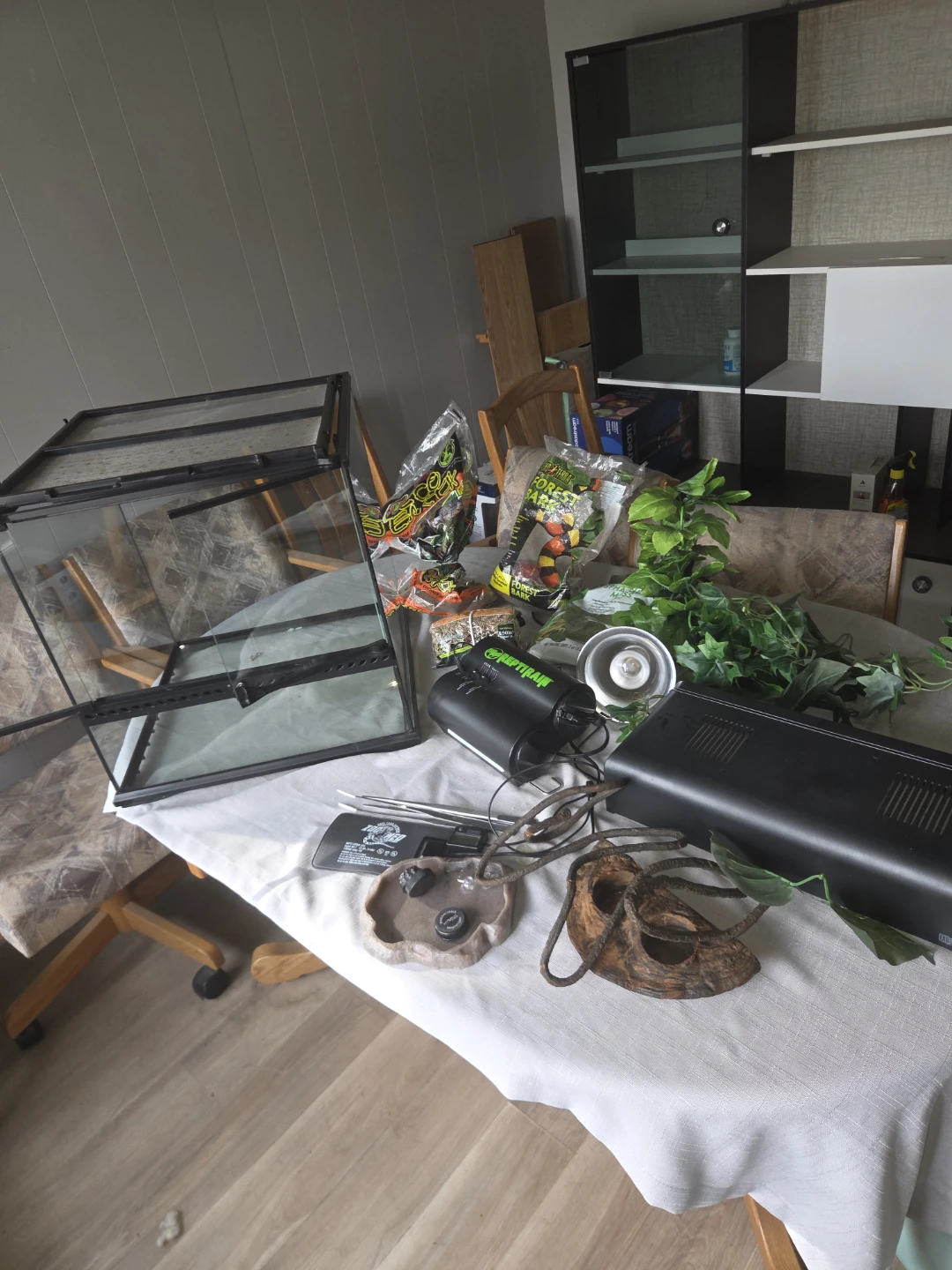 Reptile Terrarium Setup with Accessories