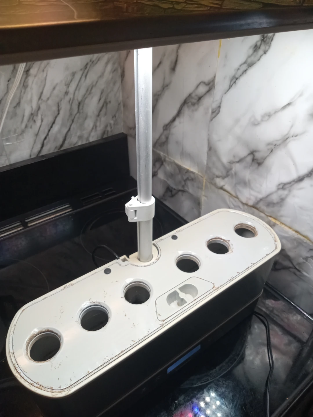 AeroGarden hydroponic indoor garden - photo 4
