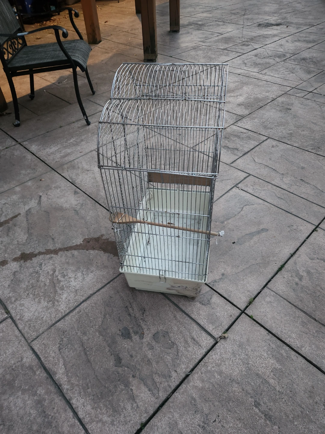 Birdcage - photo 5
