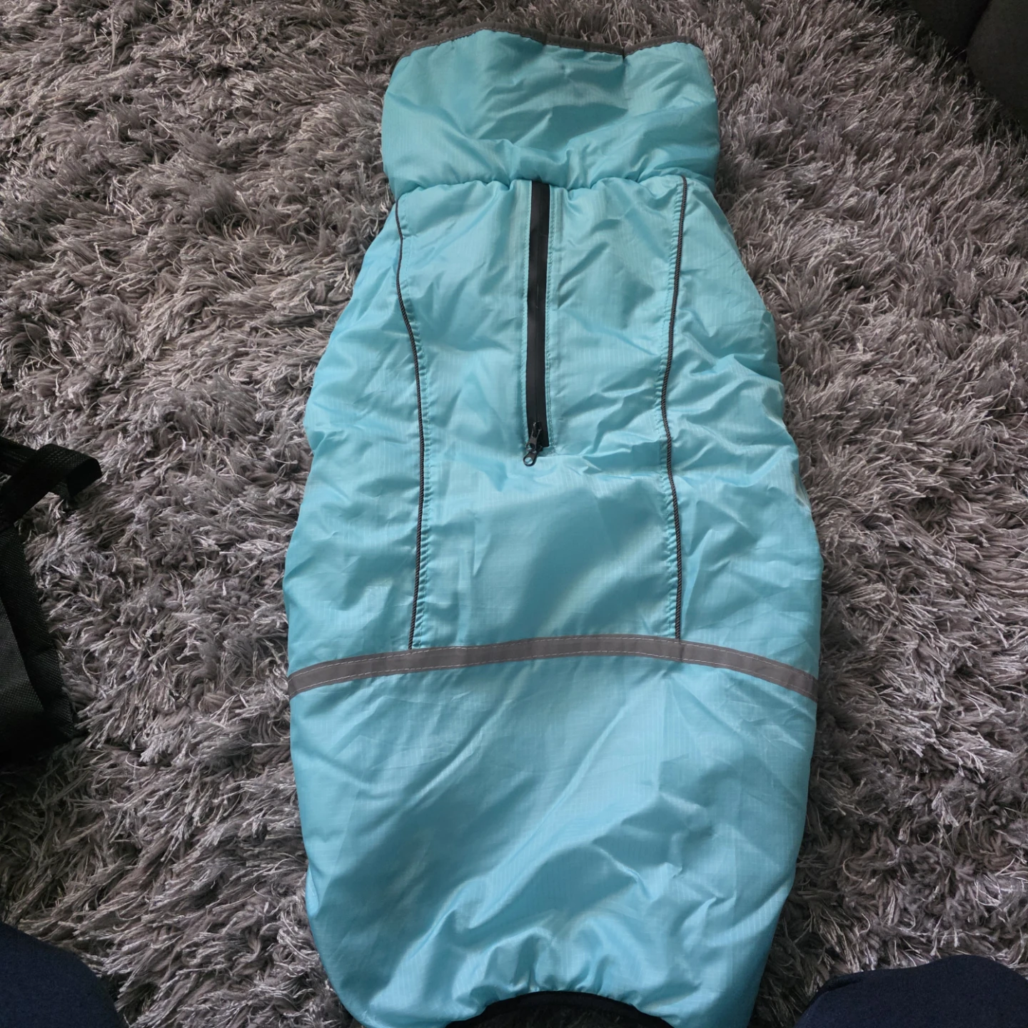 XXL Blue Dog Winter Coat