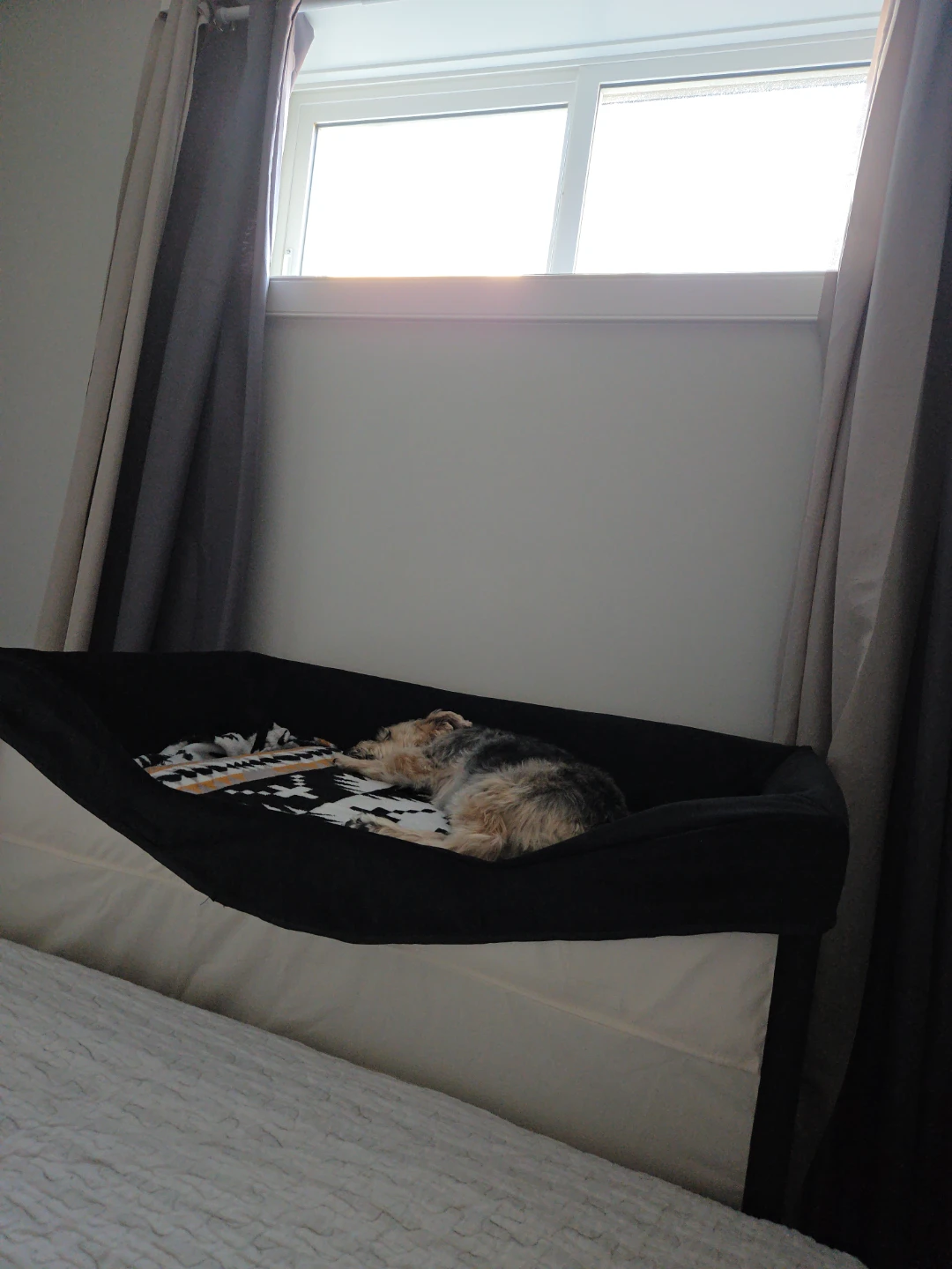 Foldable Pet Playpen Bed XL - Beige - photo 5