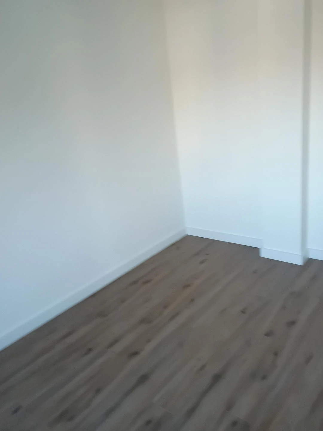 Muebles y electrodomésticos