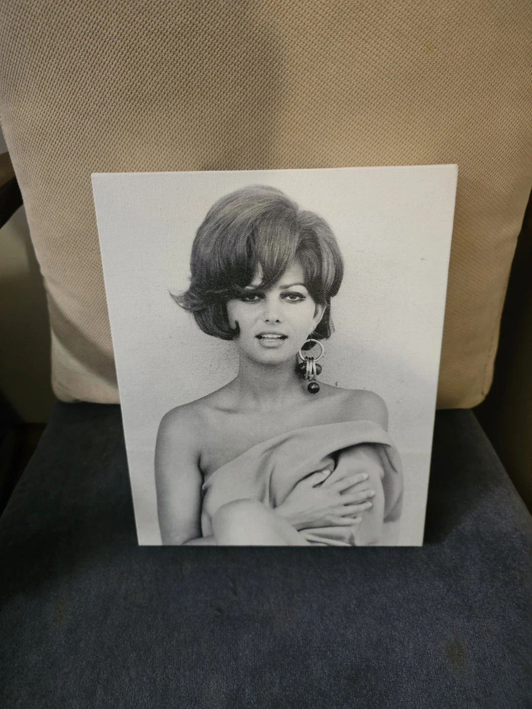 Claudia Cardinale Vintage Style Canvas Wall Art
