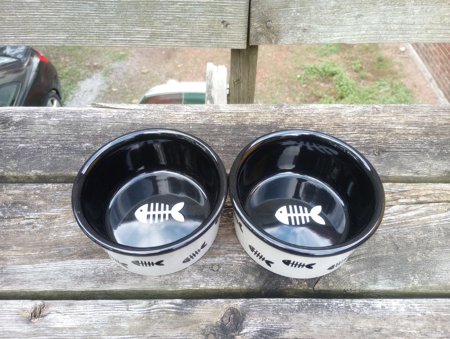 Pair of Ceramic Pet Bowls