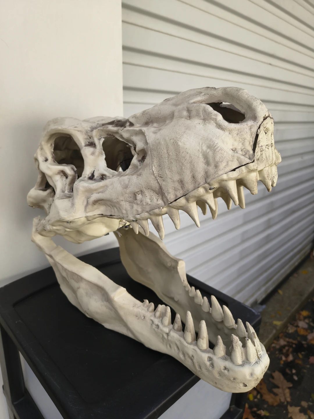Halloween plastic dinosaur skull - photo 4