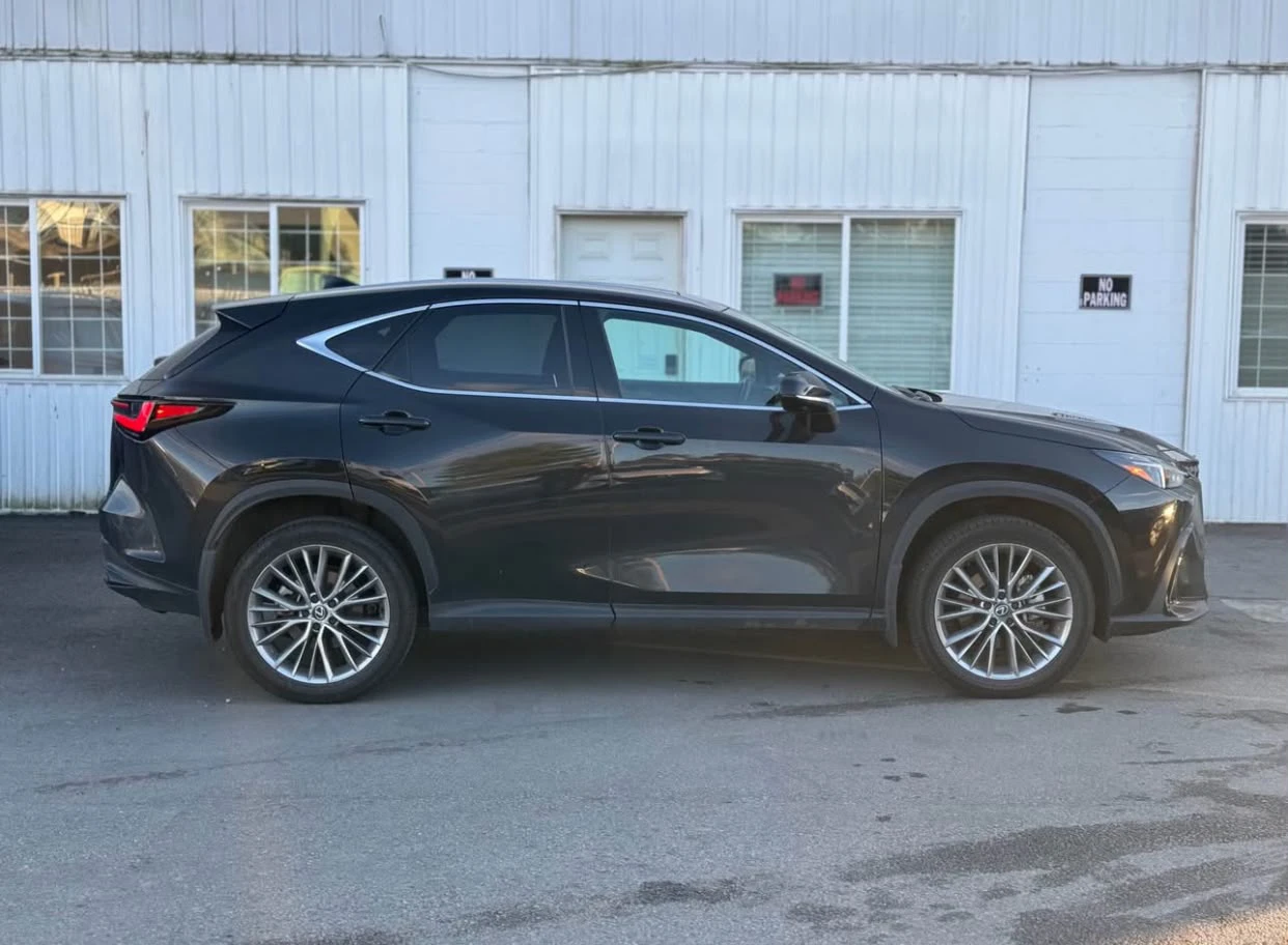 2024 Lexus NX - photo 4