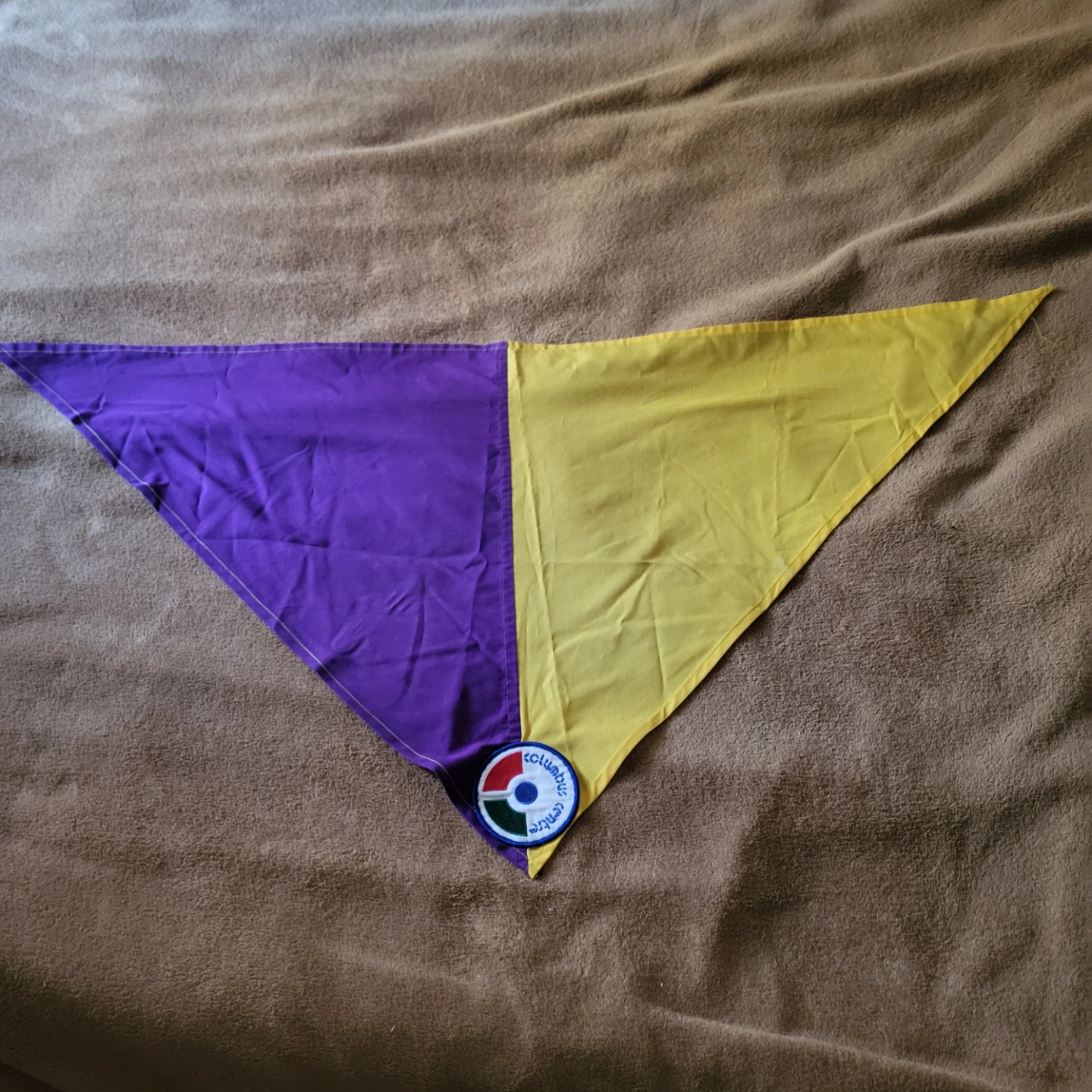 Columbus Centre purple and yellow bandana