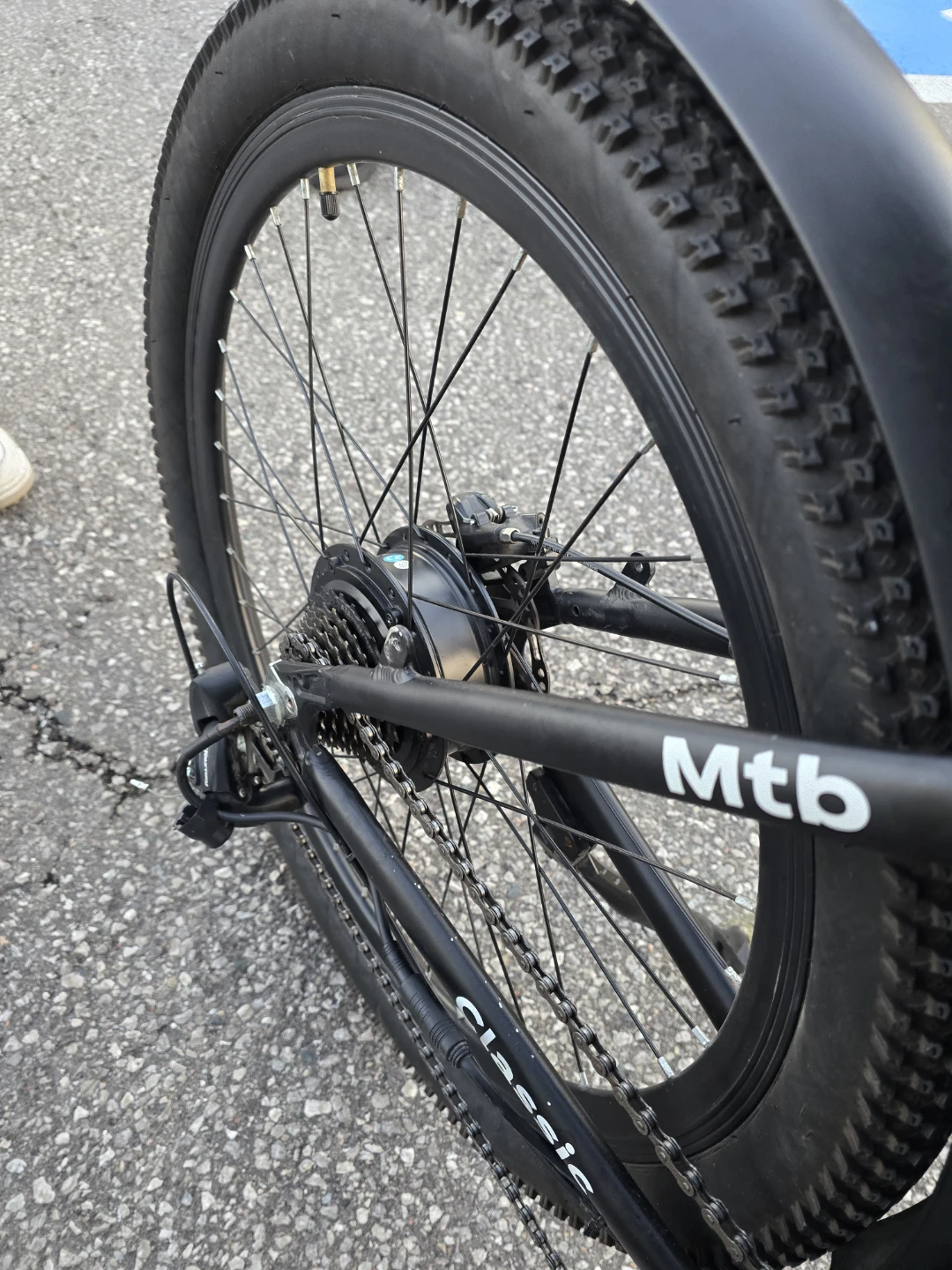 Tankx Beast Classic Electric Mountain Bike - photo 5