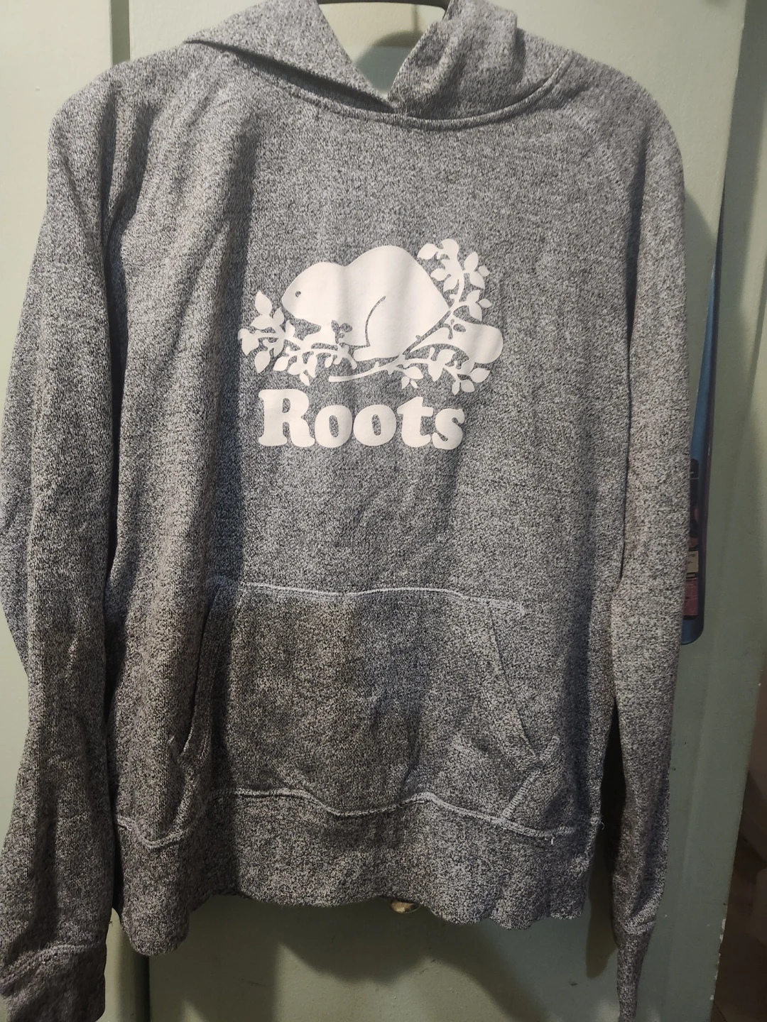 Roots Grey Hoodie