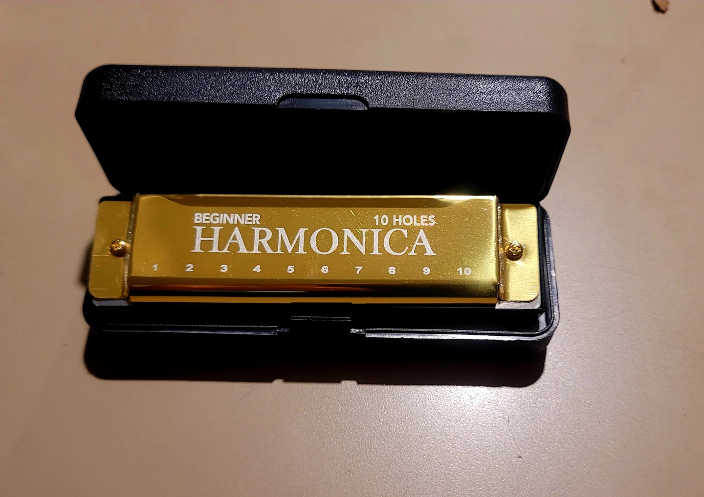 Beginner 10-Hole Harmonica