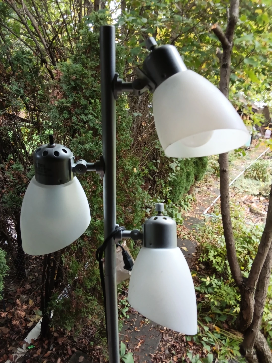 Modern Silver 3-Light Tree Floor Lamp - photo 3