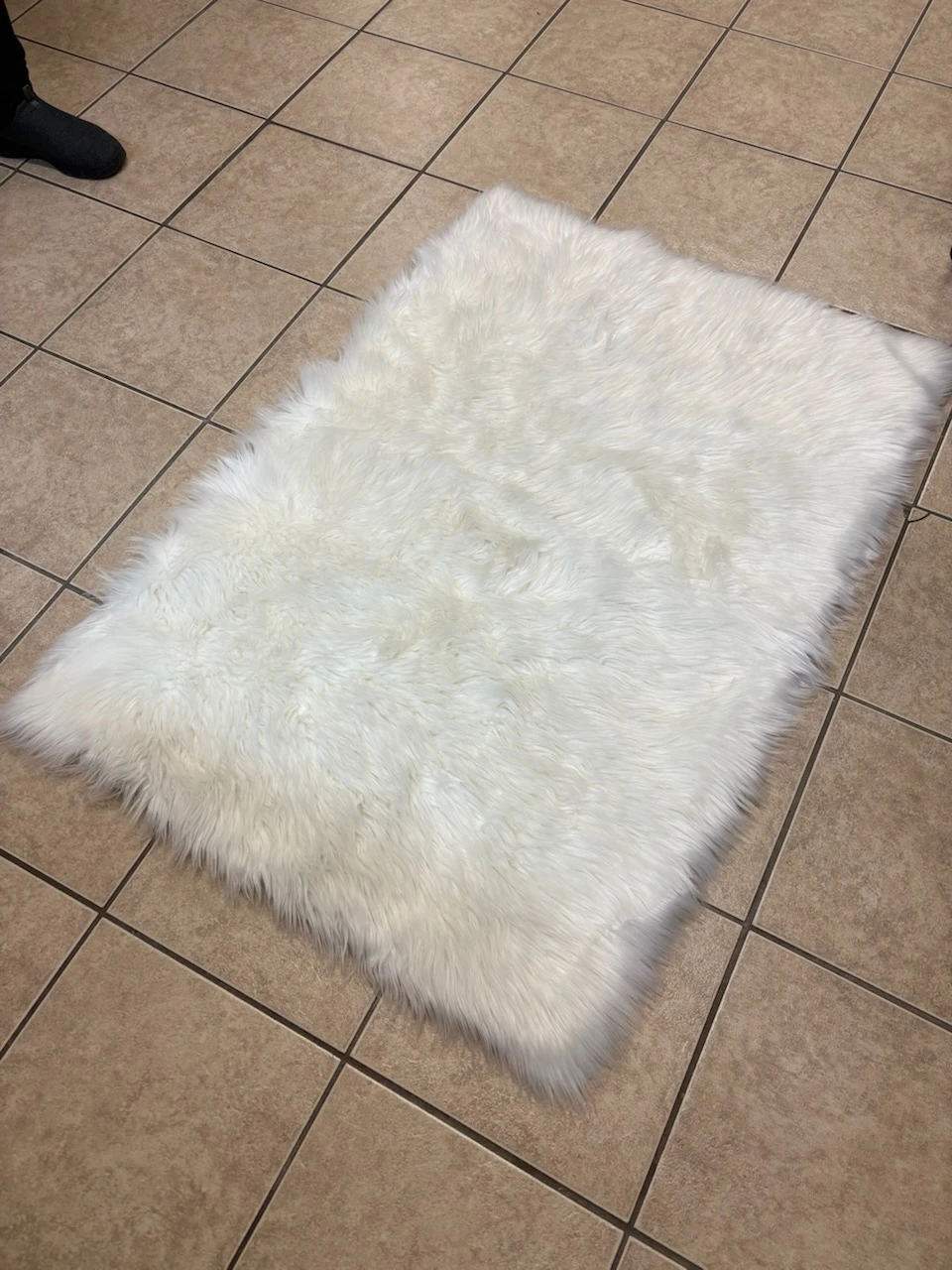 Silhouette Home Accent Rug