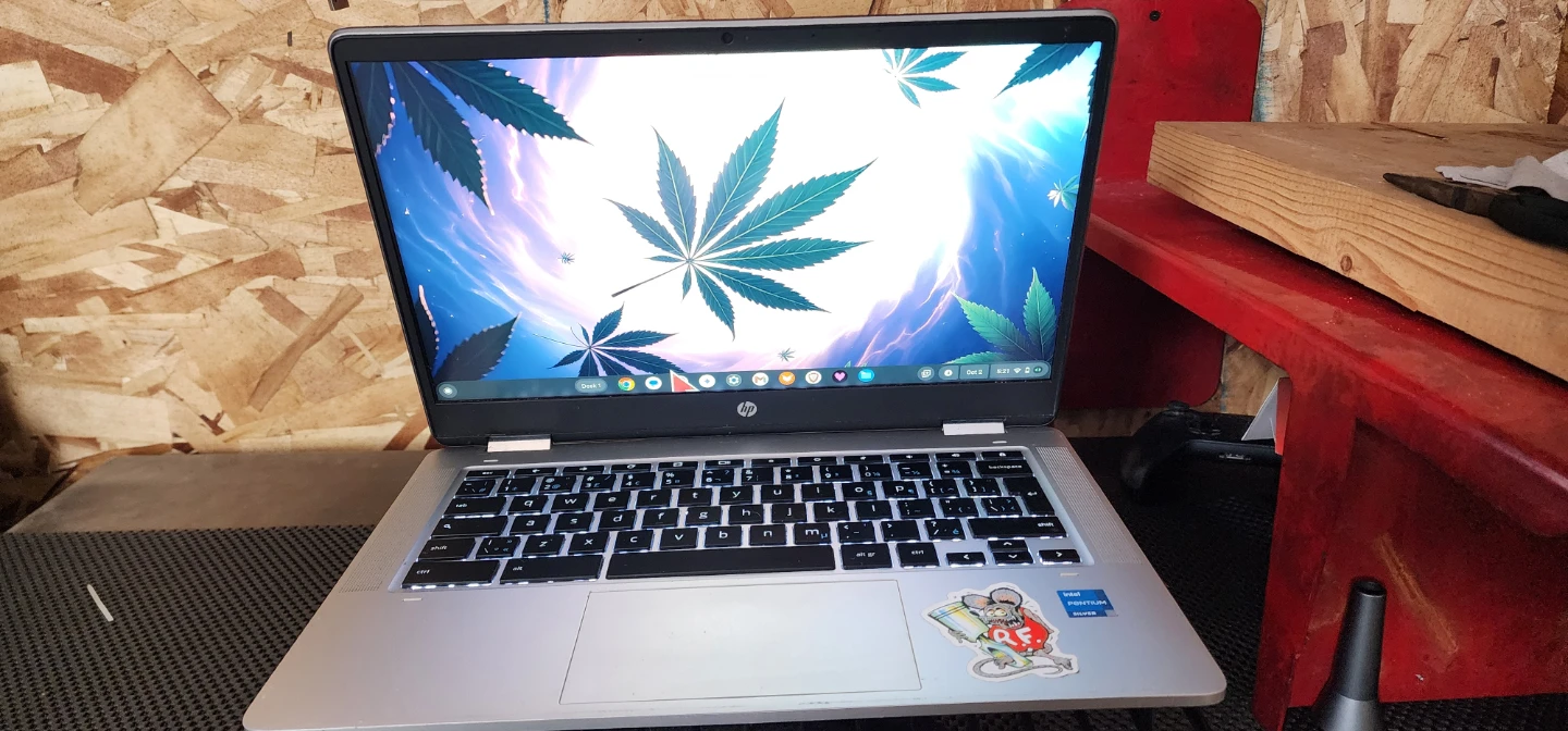 Chromebook laptop x360 touchscreen