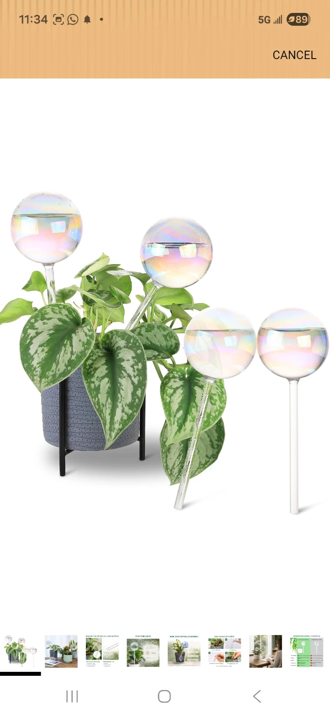 Set of Glass Self-Watering Globes