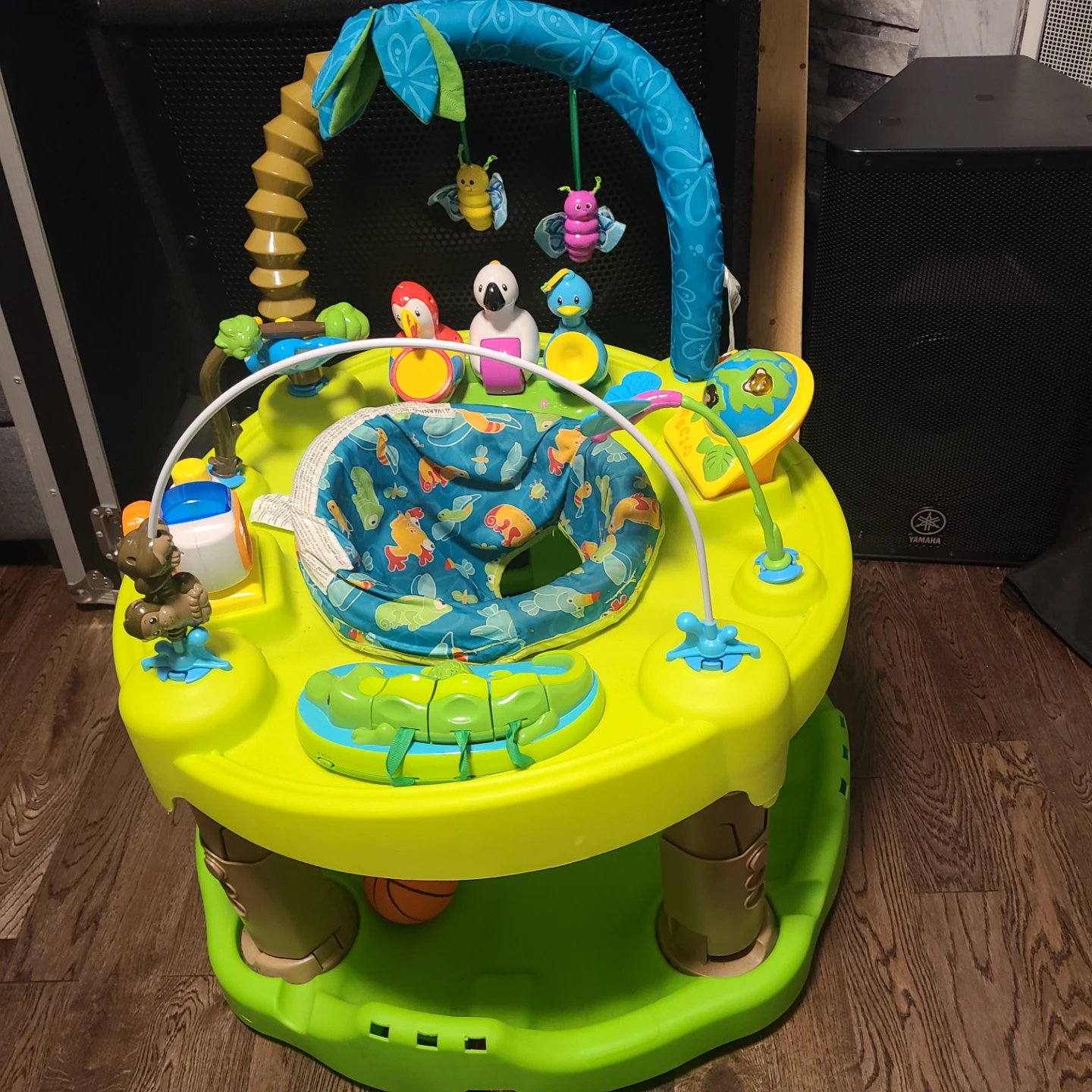 Baby Exersaucer Used