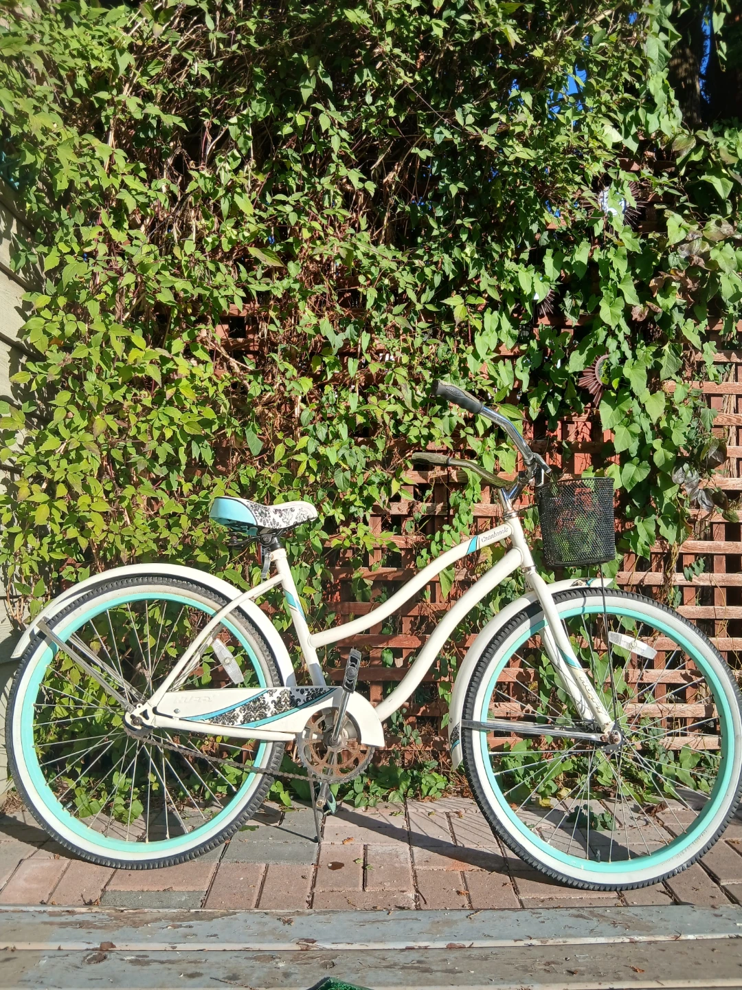 Cranbrook Cruiser Bicycle