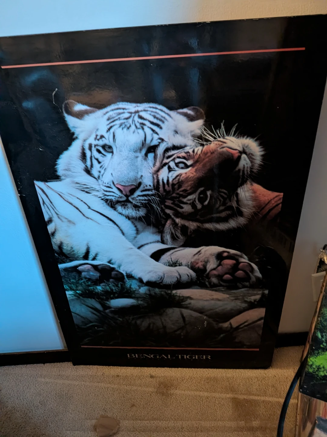 Bengal Tiger Poster