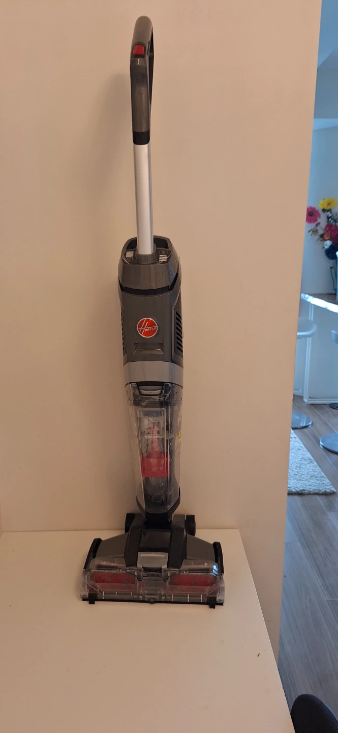 Carpet cleaner
